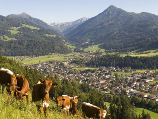 Blick auf Altenmarkt  © Altenmarkt-Zauchensee Tourismus